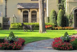 Landscaping in Bloomington IL