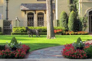 Landscaping in Savoy IL